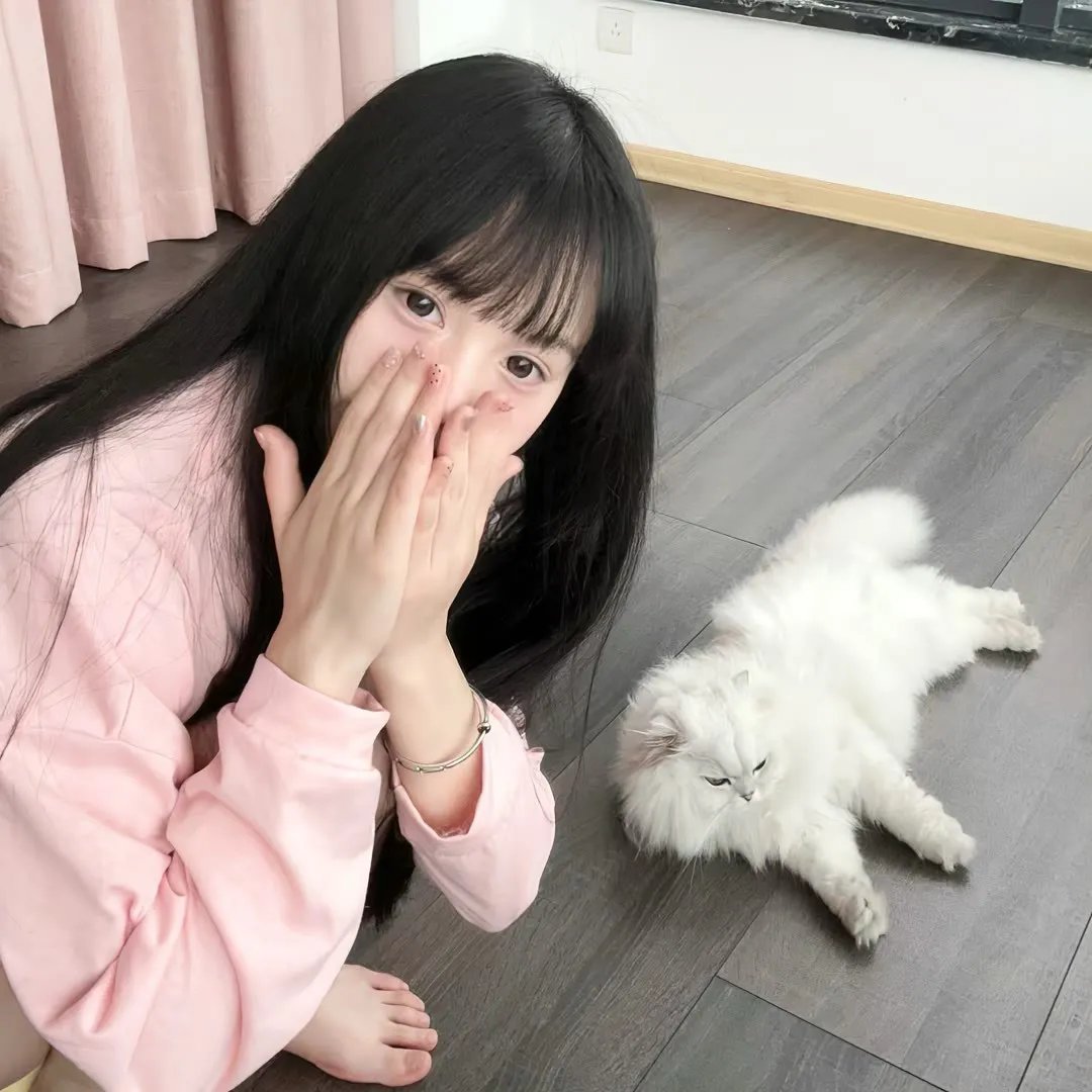 守护猫娘绯鞠